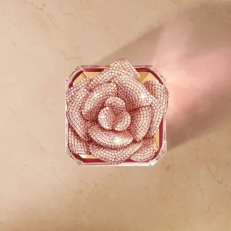 Rose Centifolia – Eksklusiv tallerken